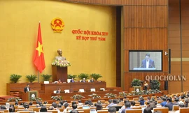 Quốc hội đồng ý miễn thị thực cho người nước ngoài tới các khu kinh tế đặc biệt