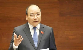 Thủ tướng yêu cầu xử lý nghiêm các sai phạm trong thực hiện các dự án chuyển đổi rừng