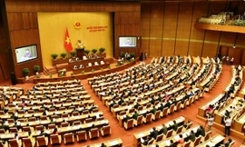 Chính phủ đề nghị rút Luật Đất đai sửa đổi khỏi chương trình năm 2019 