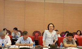 Đại biểu Phạm Khánh Phong Lan