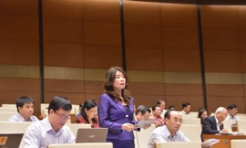 Đại biểu Quốc hội Lê Thu Hà. Ảnh Như Ý