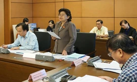 Đại biểu Hoàng Thị Hoa (Bắc Giang) 