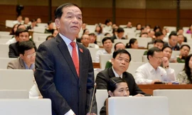 Đại biểu Quốc hội Lê Thanh Vân: "Xã hội lúc này đang rất cần những tấm gương thật ở trên tất cả các lĩnh vực".