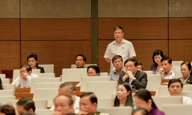 Đại biểu Nguyễn Sỹ Cương