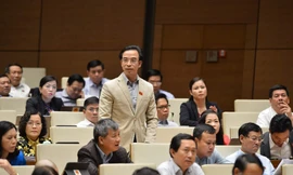 ĐBQH Nguyễn Quang Tuấn