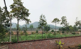 Bộ trưởng Bộ TN&MT Trần Hồng Hà