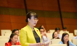 Bà Nguyệt Hường bị bãi nhiệm vì lý do quốc tịch và không kê khai tài sản ở nước ngoài