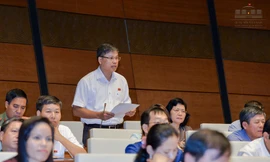 Đại biểu Quốc hội Nguyễn Sỹ Cương