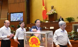 Quốc hội sẽ bầu Chủ nhiệm Uỷ ban Pháp luật vào ngày 25/11. Ảnh Như Ý