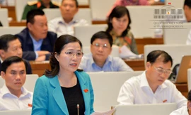 Trưởng đoàn ĐBQH tỉnh Quảng Ninh Đỗ Thị Lan