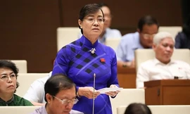 Bà Nguyễn Thị Quyết Tâm thấy "thiển cận, đau lòng" khi đặt vấn đề giảm đại biểu thì giảm bao nhiêu tiền