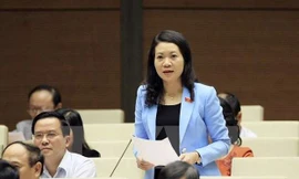 Uỷ viên Thường trực Uỷ ban Tư pháp Mai Thị Phương Hoa