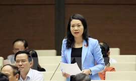 Đại biểu Quốc hội Mai Thị Phương Hoa, Uỷ viên Thường trực Uỷ ban Tư pháp 