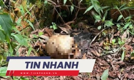 TIN NHANH: 2 thi thể không nguyên vẹn trong nghĩa trang; Messi bị ảnh hưởng bởi siêu bão Milton