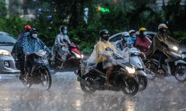 Xem dự báo thời tiết thấy khả năng mưa là 40%, điều đó có nghĩa là gì?