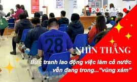 NHÌN THẲNG: Bức tranh lao động việc làm cả nước vẫn đang trong... “vùng xám”