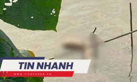 TIN NHANH: Lời kể của người phát hiện thi thể á khôi ở sông Hồng; Diễn biến mới vụ 2 mẹ con tử vong sau uống sữa