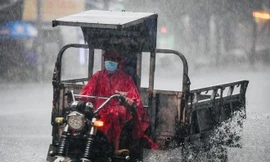 Thời tiết 7 ngày tới: Nhiệt độ đêm Bắc bộ giảm còn dưới 10 độ, Trung bộ mưa lớn đến 30/11