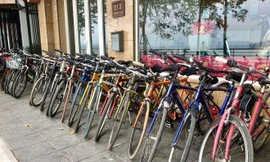 Dịch vụ thuê xe đạp dạo quanh hồ Tây hút khách