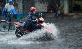 Bão số 14 suy yếu, Trung Bộ, Nam Bộ đón mưa lớn