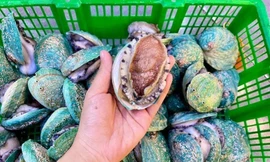 Món ngon chỉ dành cho nhà giàu, nay giảm giá mạnh nhiều người được ăn sang