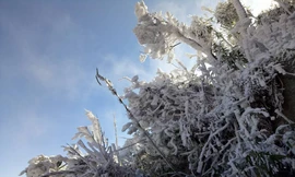 Rét đỉnh điểm ở miền Bắc, vùng núi cao đón băng giá