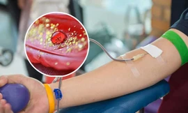 Nhóm máu nào được ví 'quý hơn vàng'?