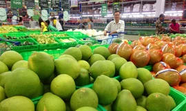 Thị trường 16/1: Bưởi da xanh xuống giá cận Tết