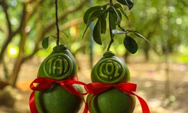 Thị trường 3/2: Bưởi Tết rớt giá, nhà hàng quán nhậu Hà Nội đóng cửa vì COVID-19