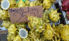Thị trường ngày 22/10: Tôm cua gãy càng 'hút' khách, đặc sản thanh long vàng 25.000 đồng