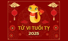 TỬ VI TUỔI TỴ 2025: Năm bản mệnh nhiều biến động