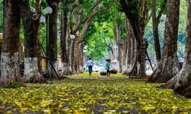 Miền Bắc đón gió mùa, miền Nam tăng mưa