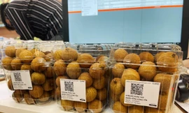Nhãn lồng Hưng Yên sang Singapore giá 220.000đ/kg