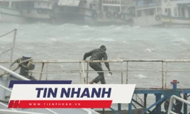 TIN NHANH: Bão số 4 đổ bộ đất liền khi nào?