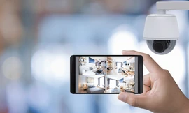 Thị trường 9/1: Lan đột biến 5,5 tỉ đồng, cảnh giác với camera an ninh giá rẻ
