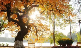 Miền Bắc thời tiết đẹp trước khi đón gió mùa, miền Trung có nắng