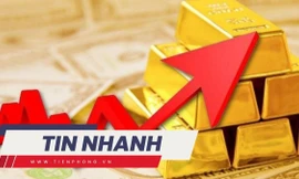 TIN NHANH: Chuyên gia 'hiến kế' để ổn định thị trường vàng; Bác sĩ bị bắt khi đang nhận tiền của bệnh nhân tâm thần