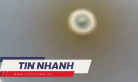 TIN NHANH: Lộ manh mối vụ thực phẩm chức năng của Nhật liên quan 5 người tử vong