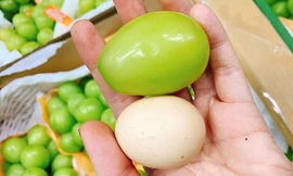 Thị trường 24/11: Sale Black Friday đến 90%, cao sao vàng 'cháy hàng' ở Hàn Quốc