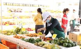 Thị trường ngày 29/1: Du lịch hủy tour, hàng không hủy chuyến do COVID-19 bùng phát