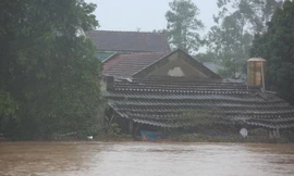 Thêm bão số 9, thời tiết miền Trung diễn biến phức tạp