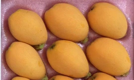 Hoa quả nhà giàu giá cao ngất ngưởng vẫn 'cháy' hàng