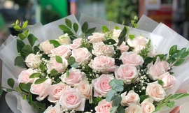 Thị trường ngày 17/11: Đinh lăng 'thất sủng', sôi động thị trường quà tặng 20/11