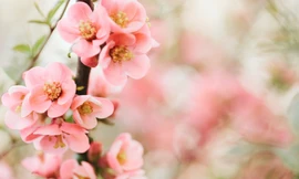 2025 gọi là năm rắn 2 đầu, có 2 lần lập xuân và báo hiệu giàu có như nào?