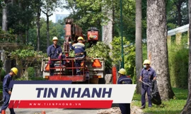 TIN NHANH: Ám ảnh khi thấy 5 người bị cây rơi trúng tại công viên Tao Đàn