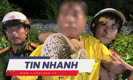 TIN NHANH: Bắt kẻ giả gái dùng kích điện tấn công nhiều người ở Phú Quốc