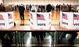 Thị trường ngày 4/11: Kiếm tiền triệu nhờ bán củ niễng, USD giảm vì bầu cử Mỹ