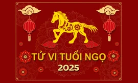 TỬ VI TUỔI NGỌ 2025: Bản mệnh bình an, đào hoa rực rỡ