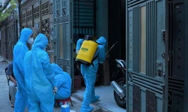 Dịch vụ phun khử khuẩn căn hộ đắt khách; giá cá tra lên cao nhất trong 3 năm