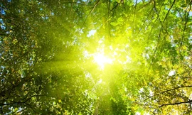 Miền Bắc mưa giảm, miền Trung nắng nóng